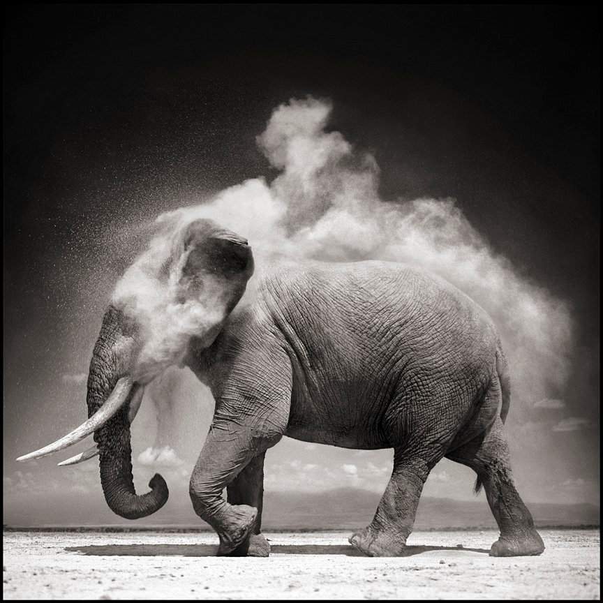 Nick Brandt
