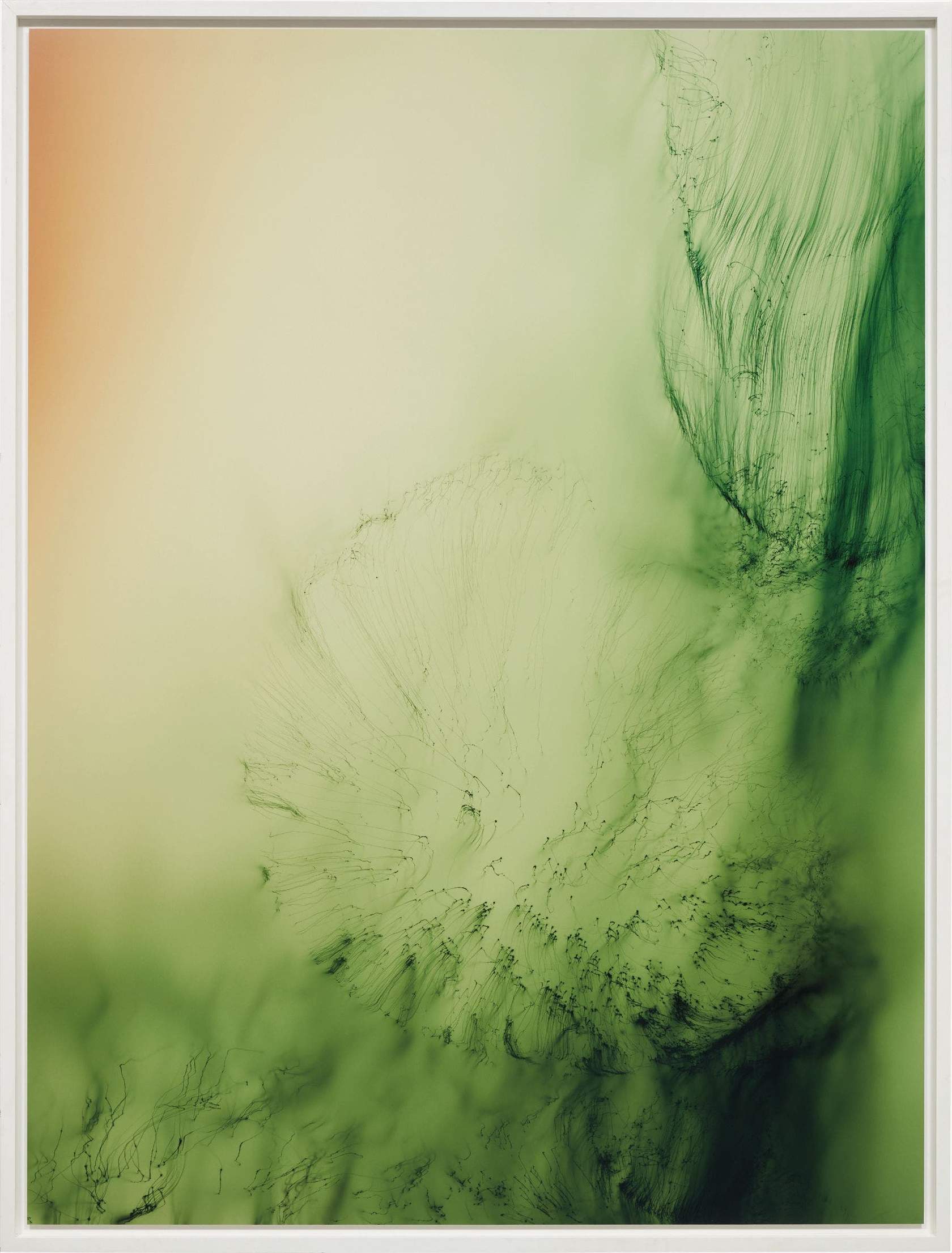 Wolfgang Tillmans