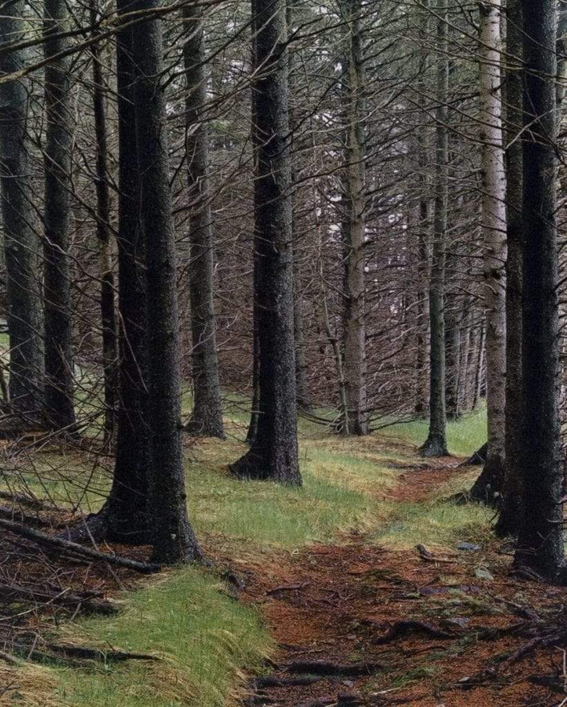 Eliot Porter